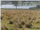 Mount Archer QLD 4514