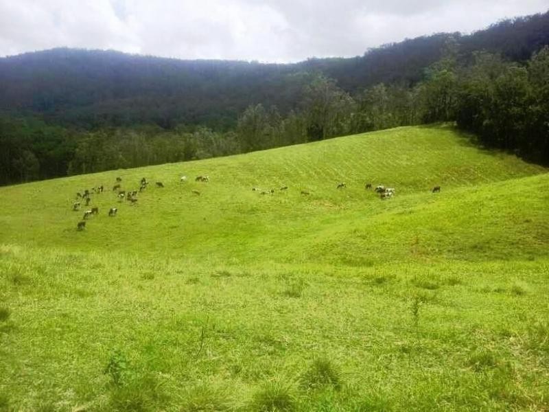 Mount Kilcoy QLD 4515