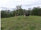 Mount Kilcoy QLD 4515