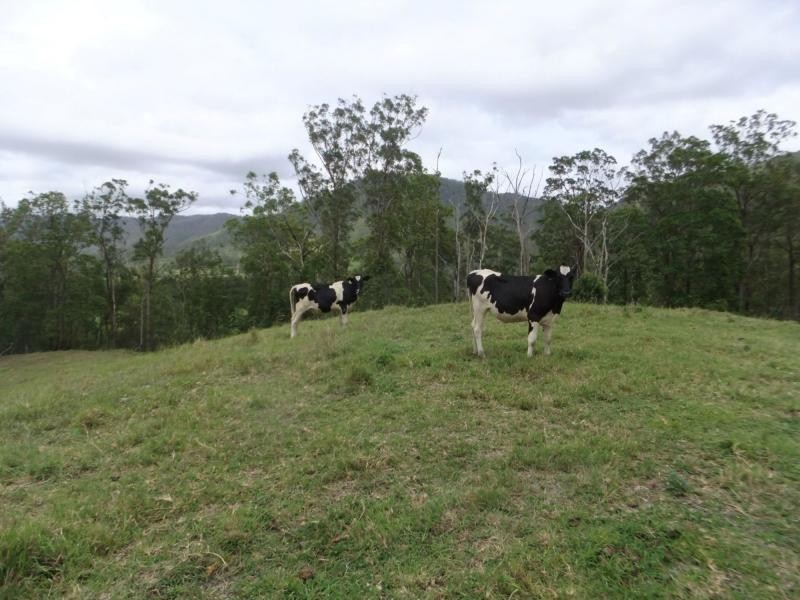 Mount Kilcoy QLD 4515