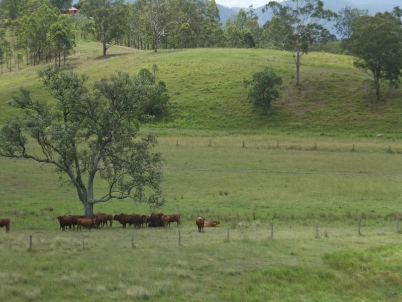 Mount Kilcoy QLD 4515