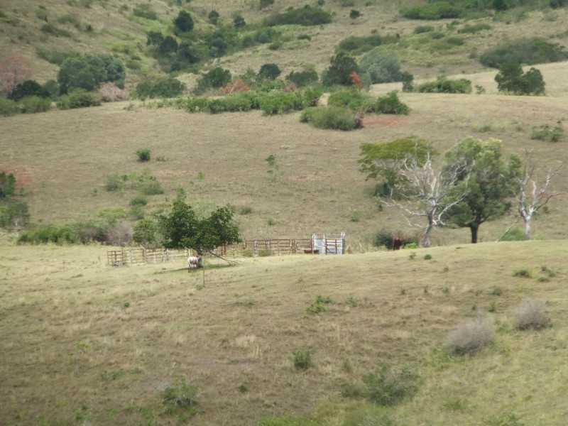 Sandy Creek QLD 4515