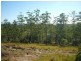 Bellthorpe QLD 4514