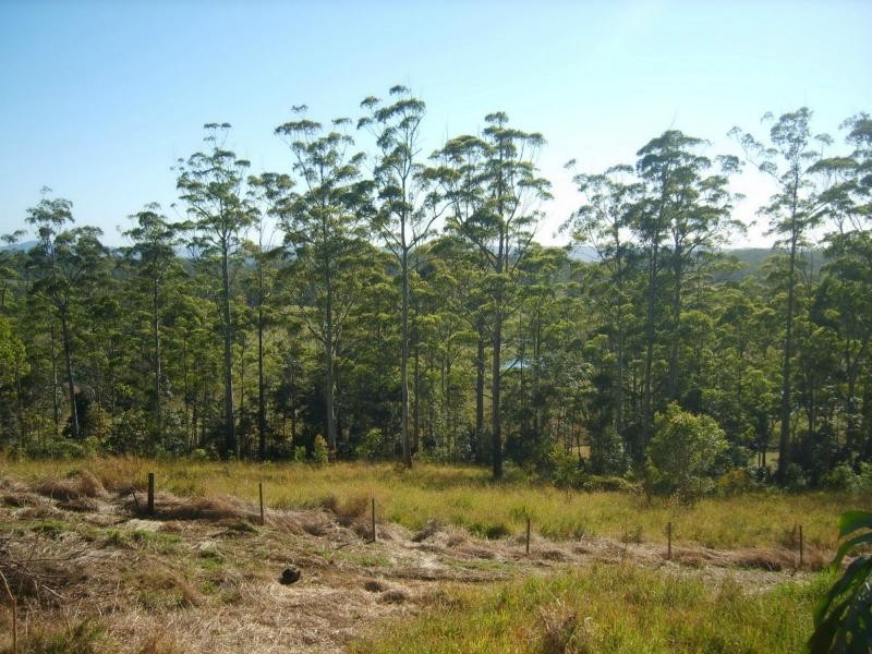Bellthorpe QLD 4514