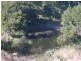 Bellthorpe QLD 4514