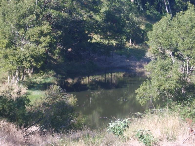 Bellthorpe QLD 4514