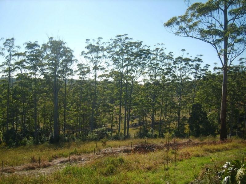 Bellthorpe QLD 4514