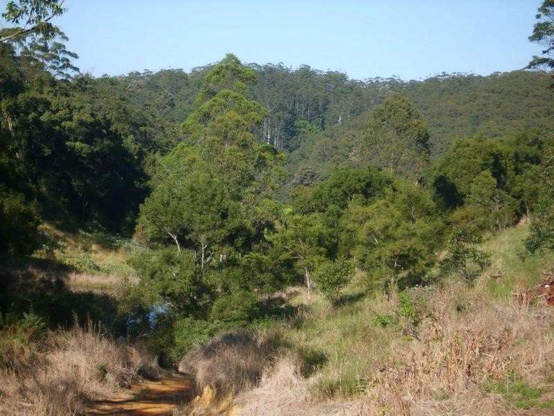 Bellthorpe QLD 4514