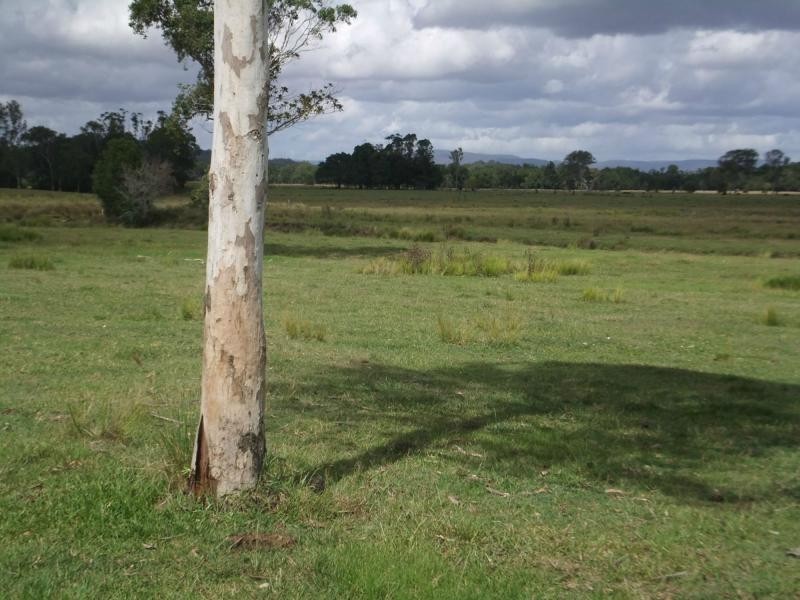 Commissioners Flat QLD 4514