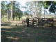 Woodford QLD 4514