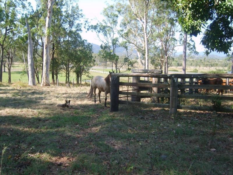 Woodford QLD 4514