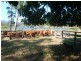 Woodford QLD 4514