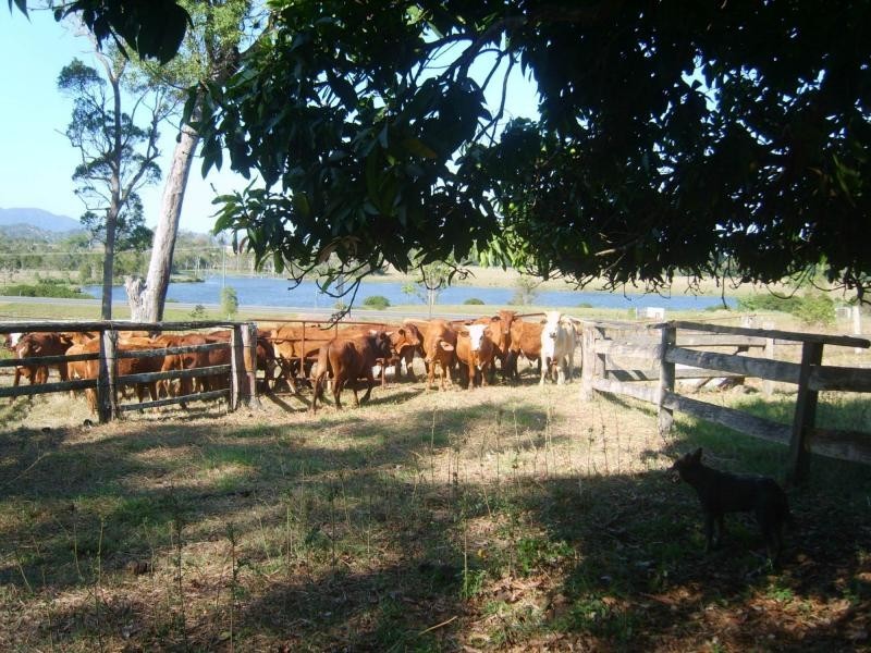 Woodford QLD 4514