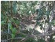 Woodford QLD 4514