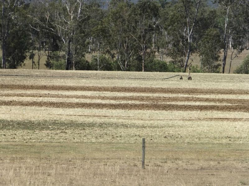 1068 Stonelands Road, Stonelands QLD 4612