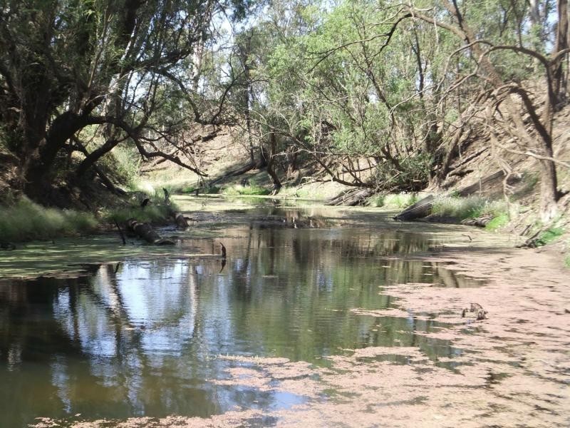 1068 Stonelands Road, Stonelands QLD 4612