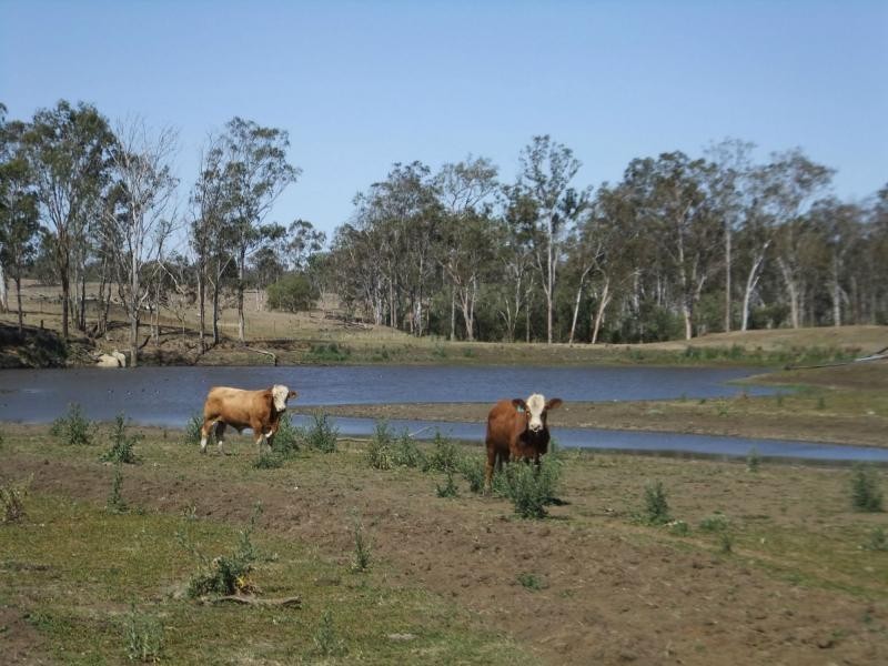 1068 Stonelands Road, Stonelands QLD 4612