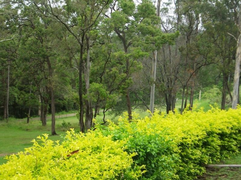 Moorina QLD 4506
