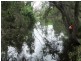 Woodford QLD 4514