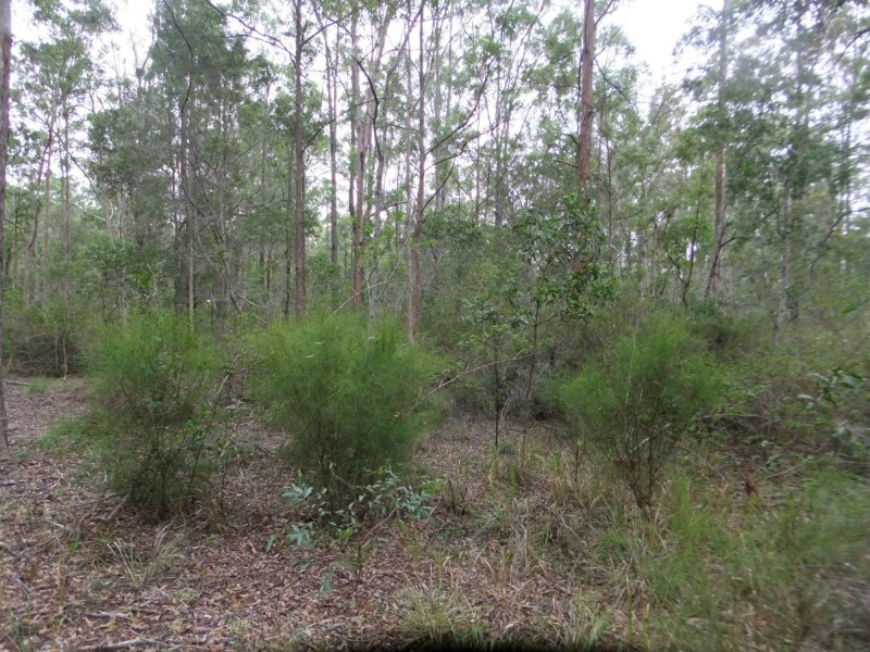 28 Gilliland Court, Blackbutt QLD 4306