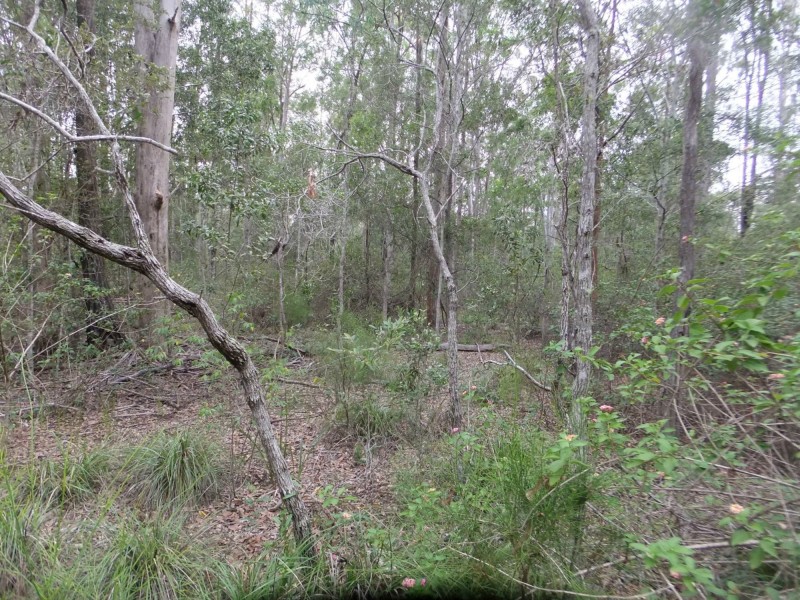 28 Gilliland Court, Blackbutt QLD 4306
