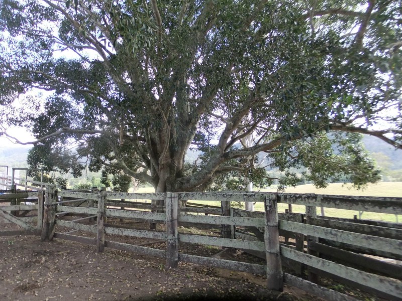 1606 Mount Kilcoy Road, Mount Kilcoy QLD 4515