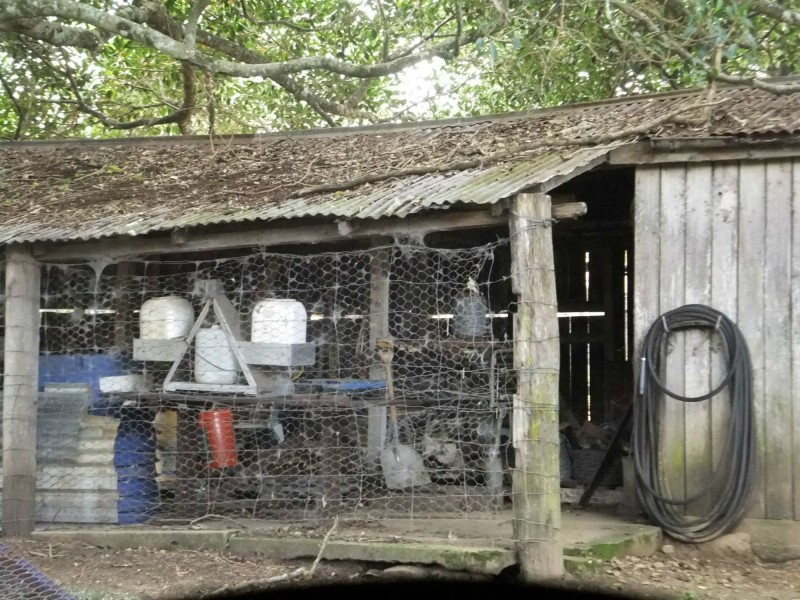 1606 Mount Kilcoy Road, Mount Kilcoy QLD 4515