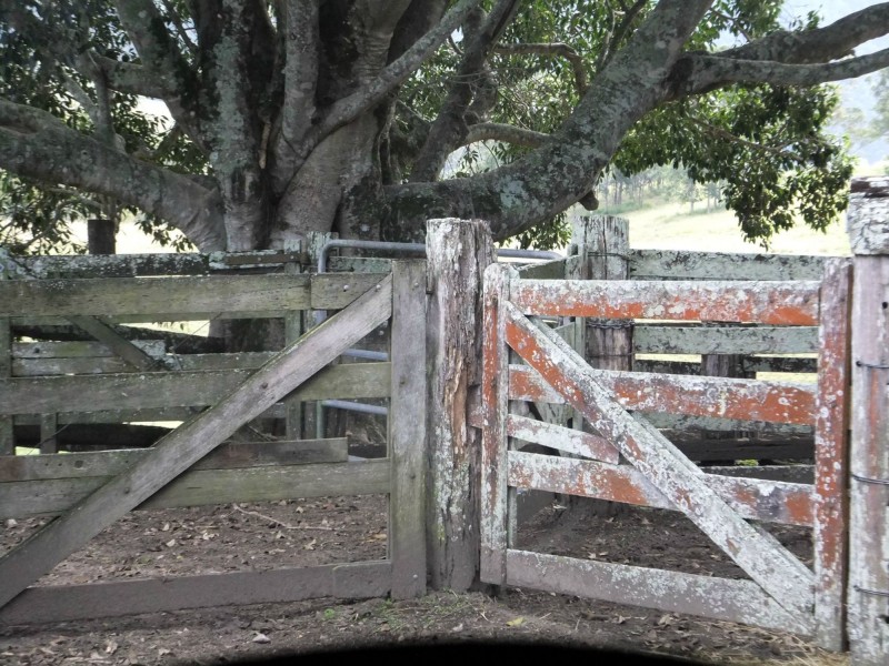 1606 Mount Kilcoy Road, Mount Kilcoy QLD 4515