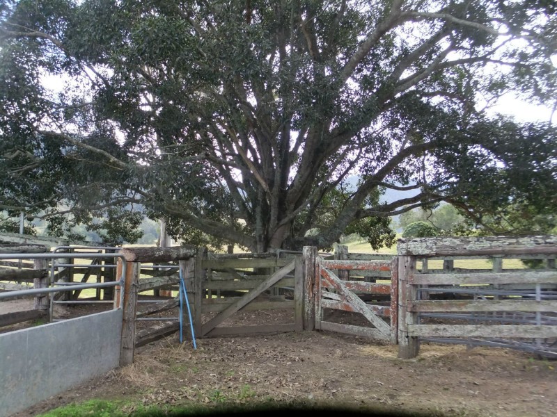 1606 Mount Kilcoy Road, Mount Kilcoy QLD 4515