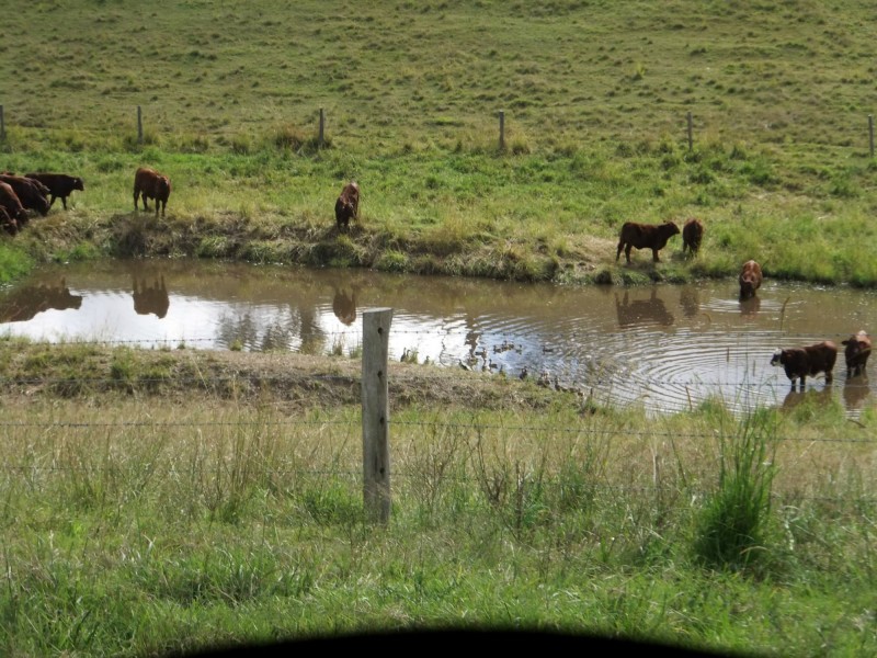 1606 Mount Kilcoy Road, Mount Kilcoy QLD 4515