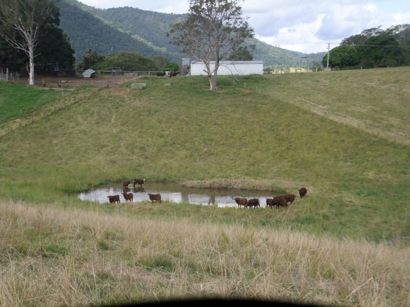 1606 Mount Kilcoy Road, Mount Kilcoy QLD 4515