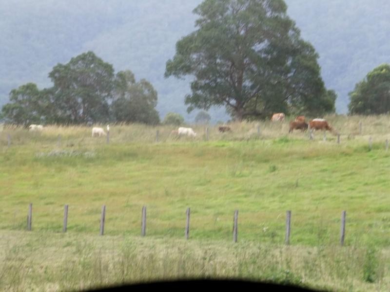 Woodford QLD 4514