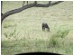 Woodford QLD 4514