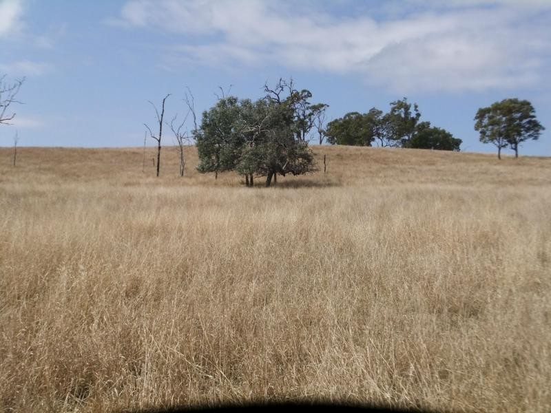 Manumbar QLD 4601