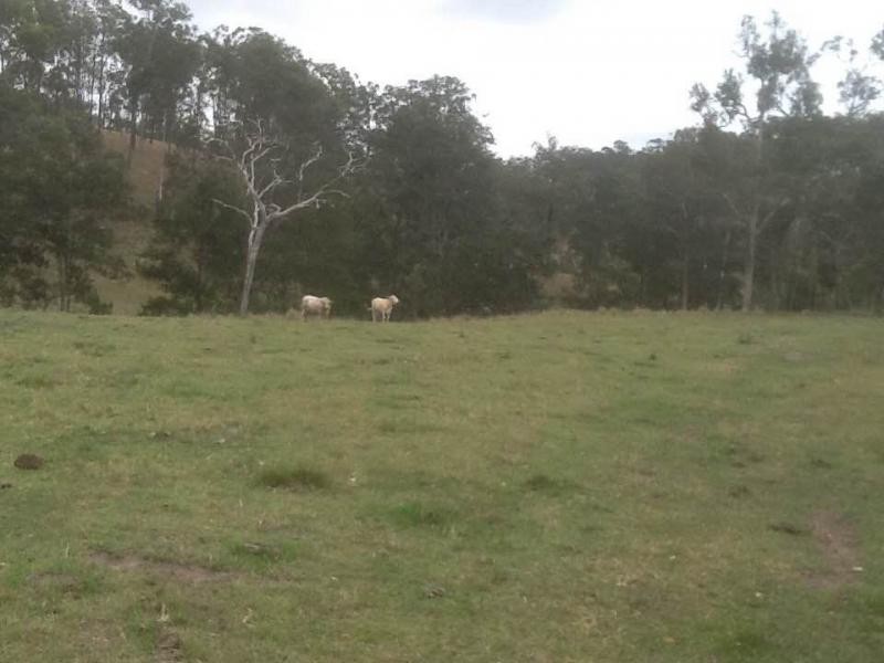 1 Pineview Road, Woolmar QLD 4515