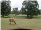 Woodford QLD 4514