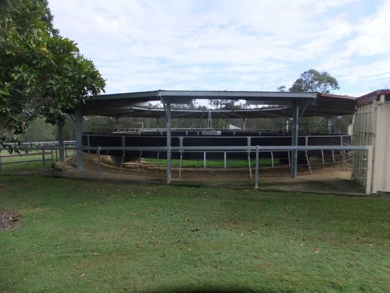 936 Neurum Road, Neurum QLD 4514