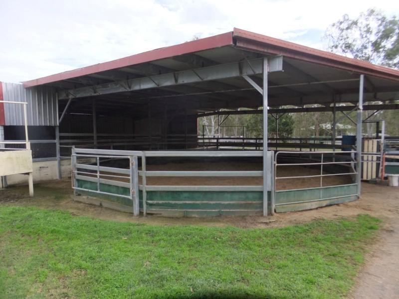 936 Neurum Road, Neurum QLD 4514