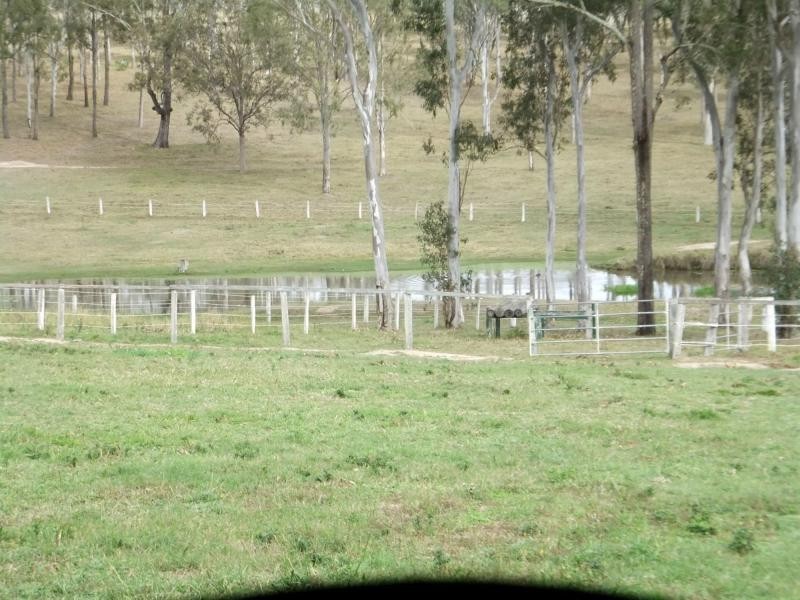 936 Neurum Road, Neurum QLD 4514
