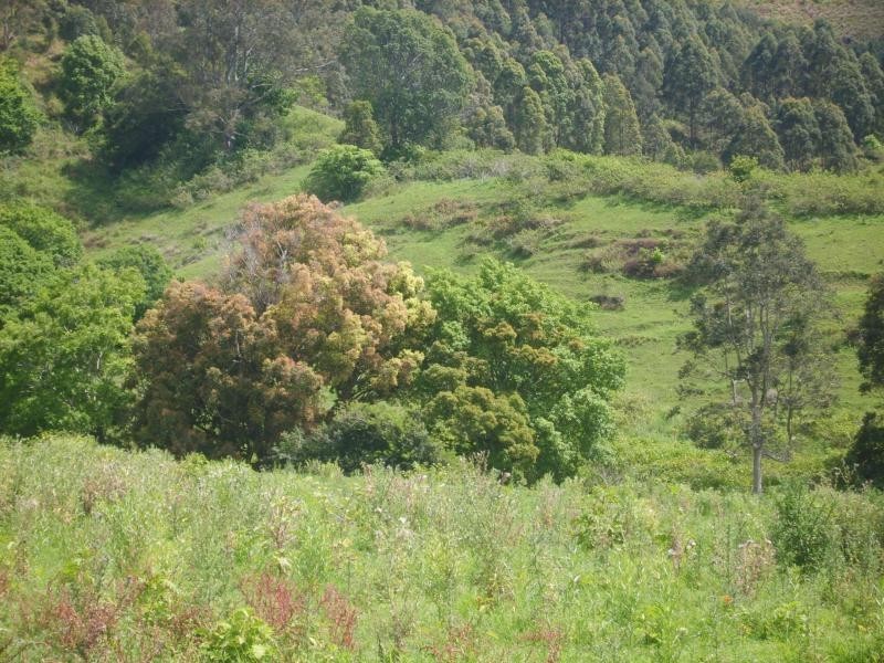 300 Woodrow Road, Woodford QLD 4514