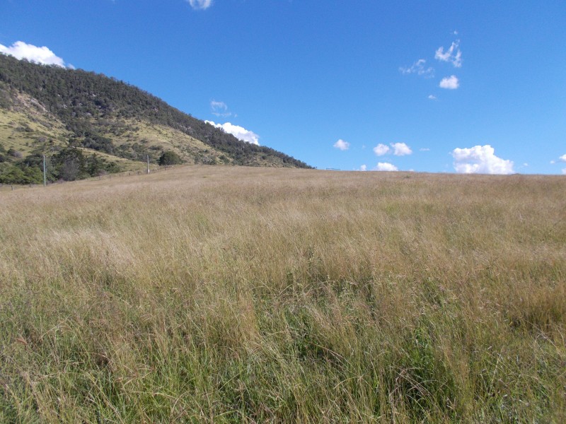 Mount Archer QLD 4514