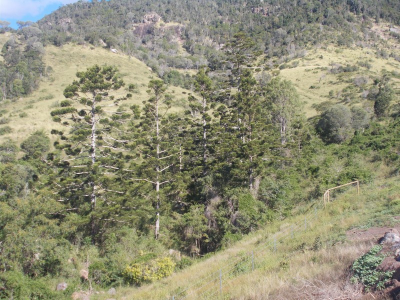 Mount Archer QLD 4514