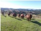 Moore QLD 4306