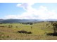 Stanmore QLD 4514
