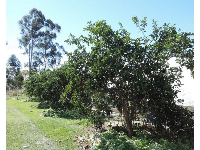 56 Hennessey Rd, Delaneys Creek QLD 4514