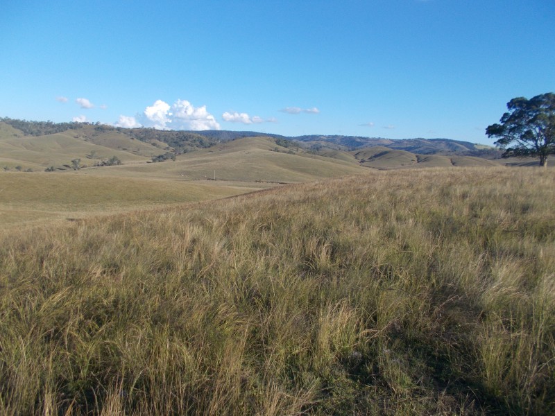 Kilcoy QLD 4515
