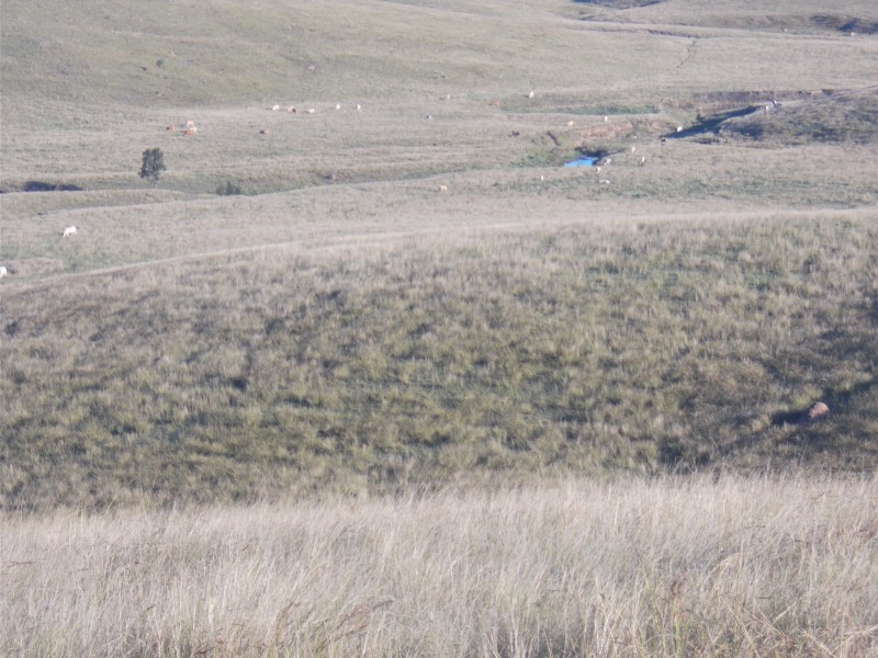 Kilcoy QLD 4515