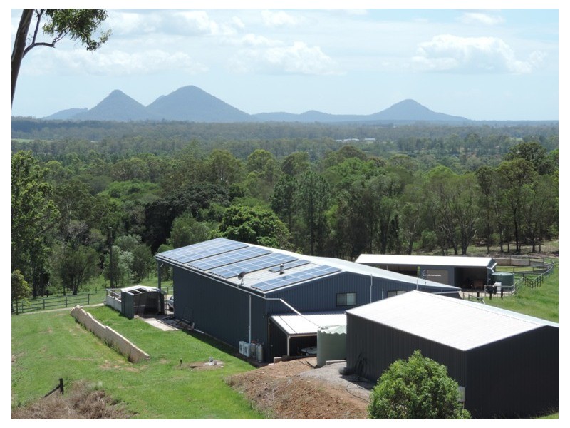 Wamuran QLD 4512