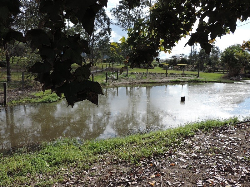 245 Kropp Rd, Woodford QLD 4514