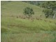506 Louisavale Rd, Monsildale QLD 4515